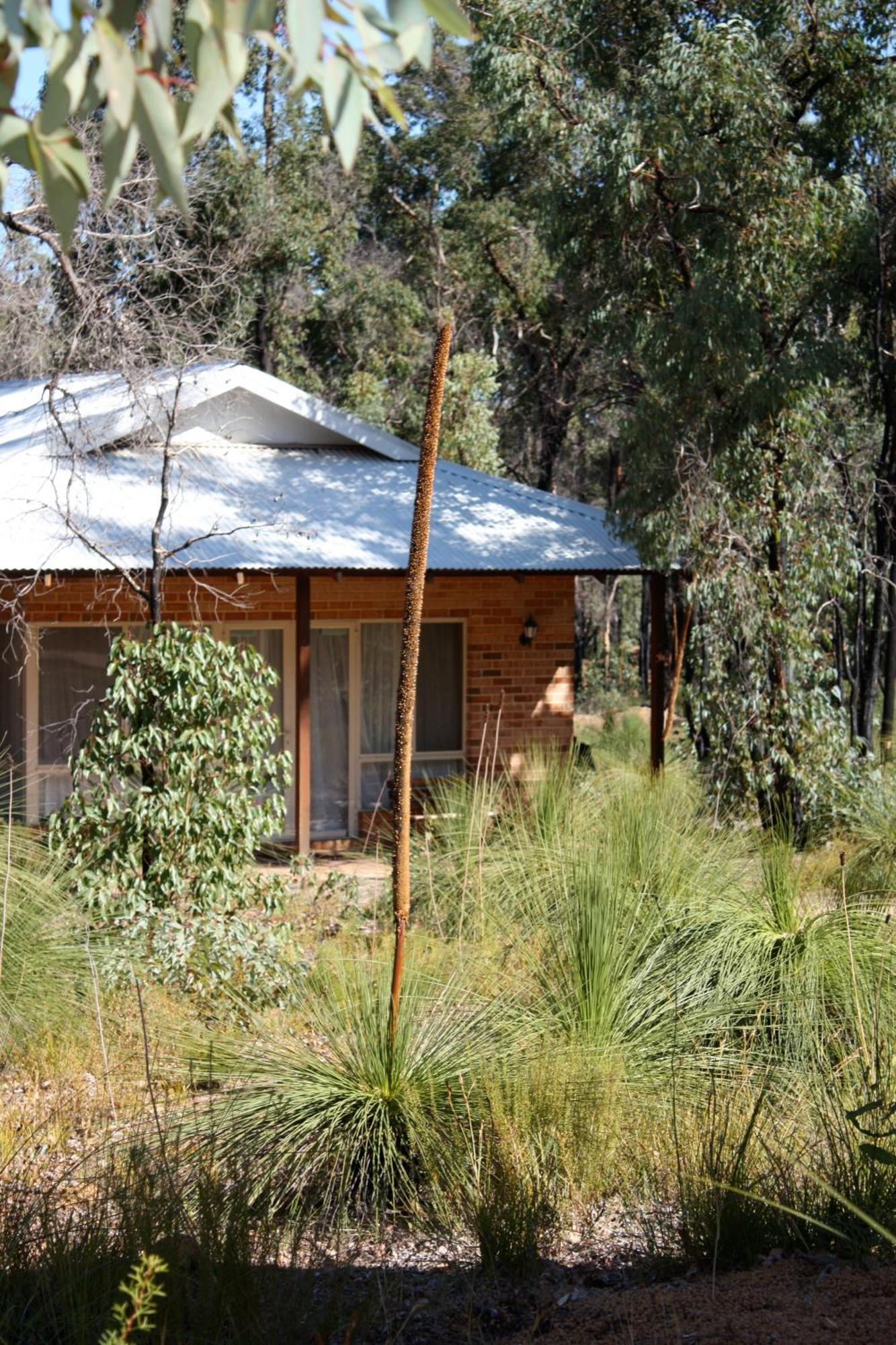 Chalets On Stoneville Exterior photo